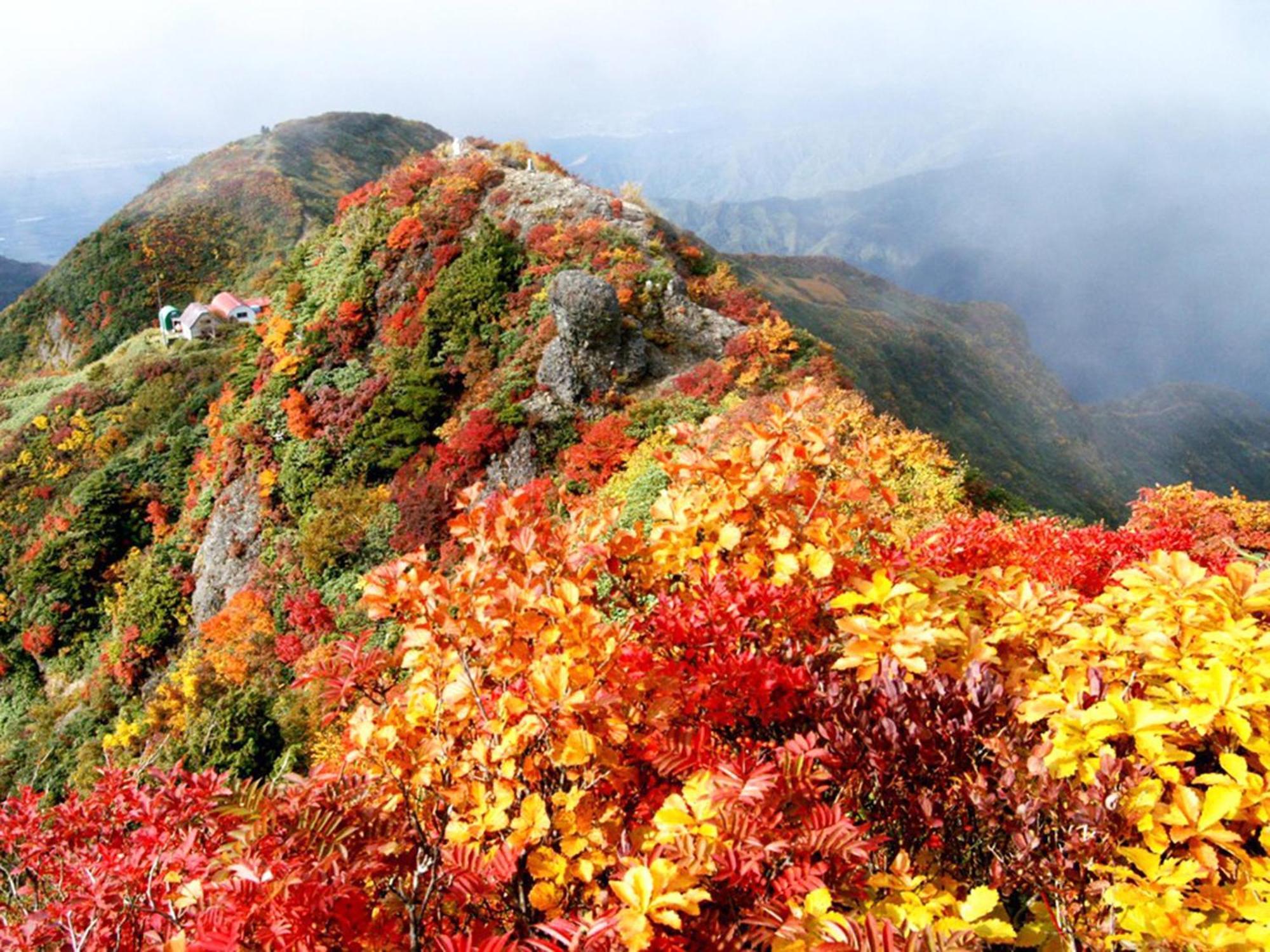 Pension Come Minamiuonuma ภายนอก รูปภาพ
