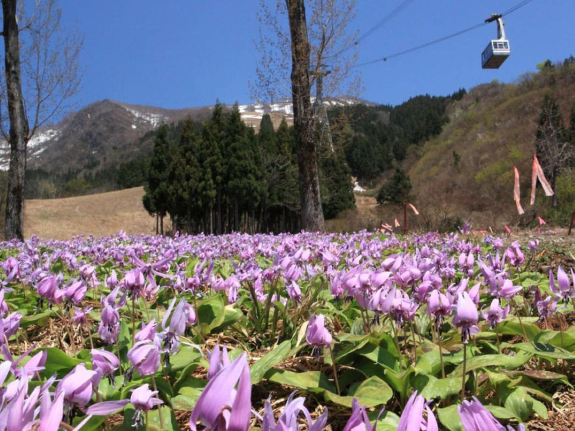 Pension Come Minamiuonuma ภายนอก รูปภาพ